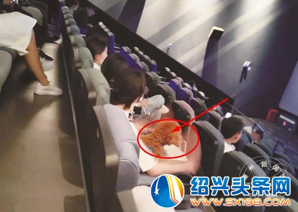 360截图20190410092002777