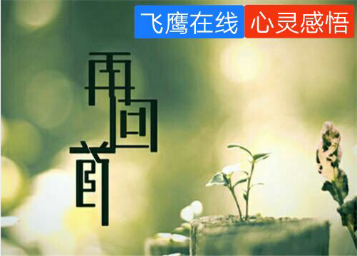 QQ截图20190808082756