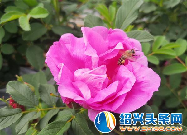 微信图片_20200401114033