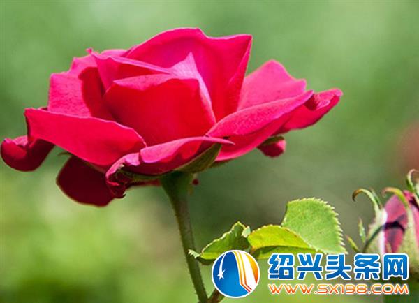 微信图片_20200401113824