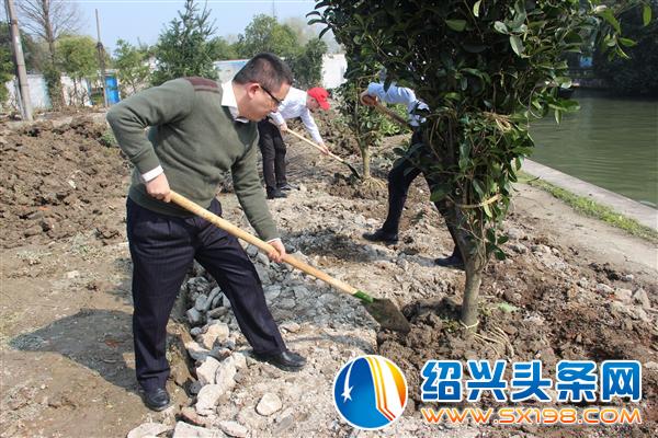 植树中（填土） 