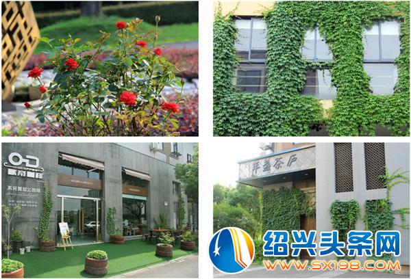 浙江大学继续教育学院干部素质提升培训班游览金德隆-2