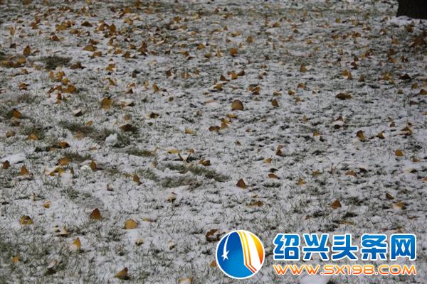 冬月的鹅毛初雪-4