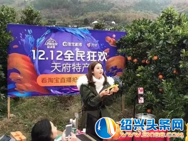 炬鑫文化-6