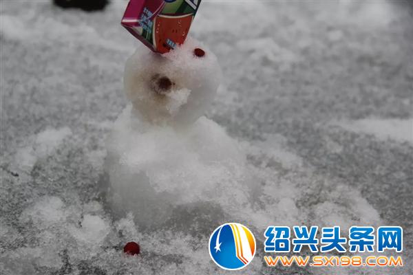 冬月的鹅毛初雪-3