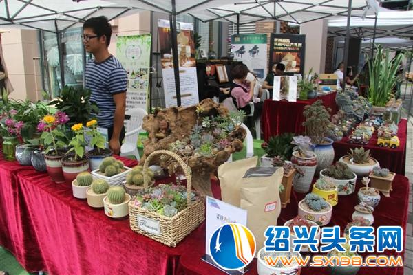 花草生活专场招募正式开启啦-5