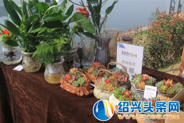 别再错过一个亿-15 别再错过一个亿-15