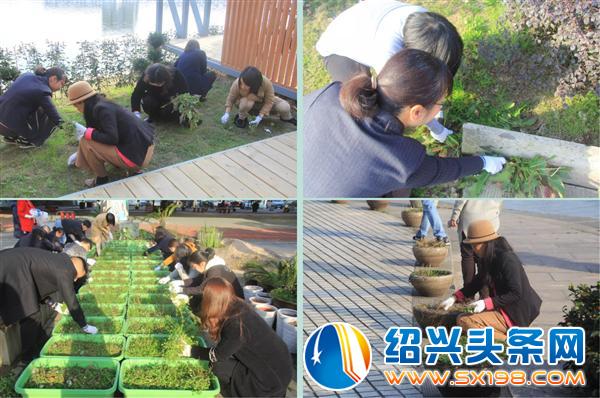 植树添绿正当时-1