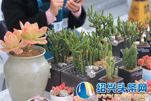 花草生活专场招募正式开启啦-6