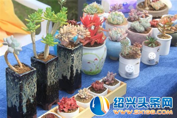 别再错过一个亿-12 别再错过一个亿-12