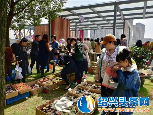 这个地方承包了微信朋友圈 这个地方承包了微信朋友圈