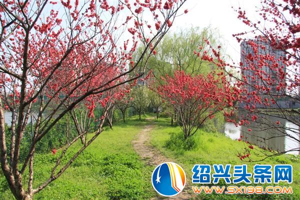 植树添绿正当时