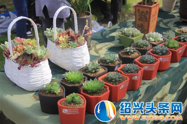 别再错过一个亿-13 别再错过一个亿-13