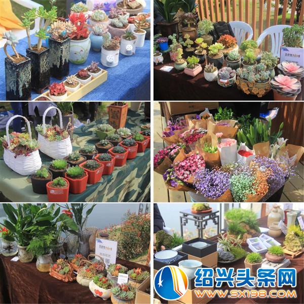这个地方承包了微信朋友圈-5 这个地方承包了微信朋友圈-5