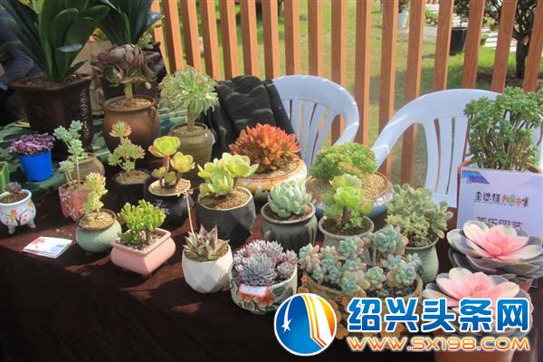 别再错过一个亿-14 别再错过一个亿-14