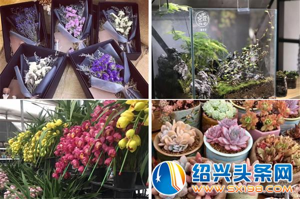 花草生活专场-4 花草生活专场-4