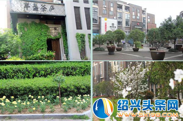 植树添绿正当时-2
