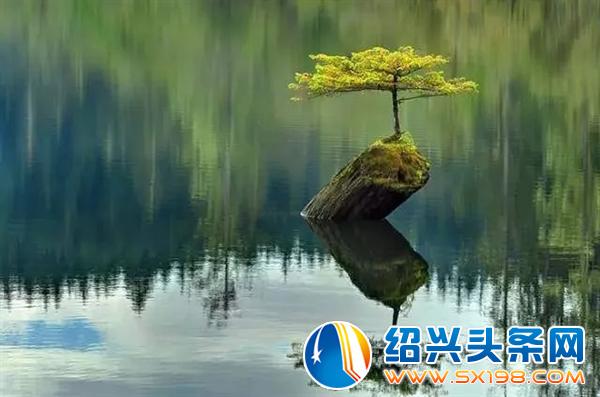 世界上最美的-8
