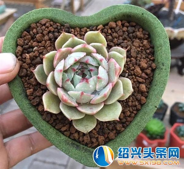 那我们来谈钱吧-7