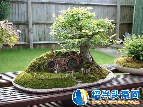 世界上最美的-3