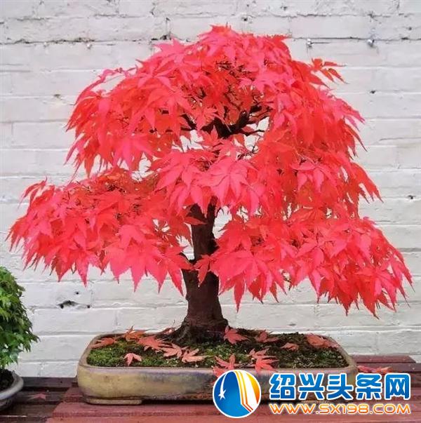 世界上最美的-2