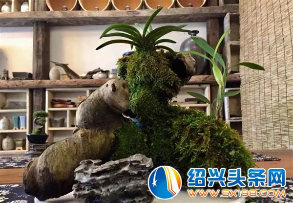 滨河花草生活市集-5
