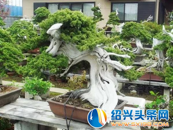 世界上最美的-9