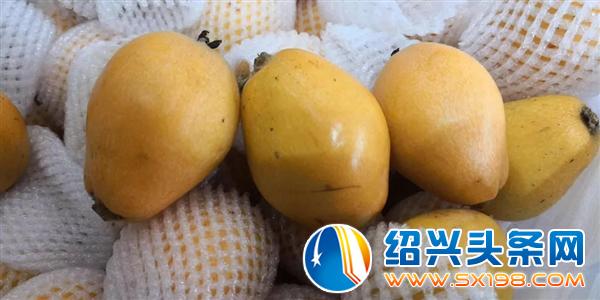 那我们来谈钱吧-8