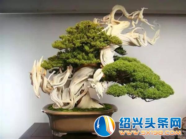 世界上最美的-5