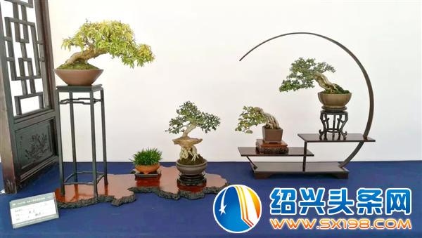 世界上最美的-11
