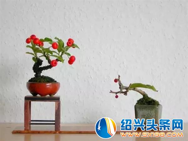 世界上最美的-10