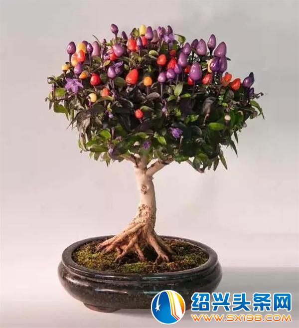 世界上最美的-6