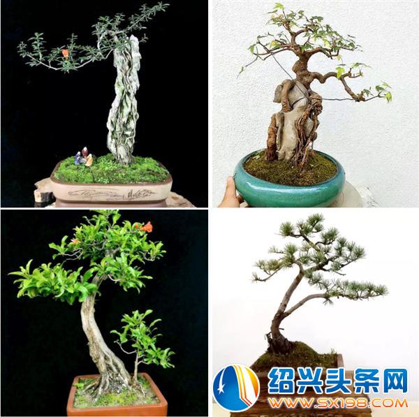 世界上最美的-13