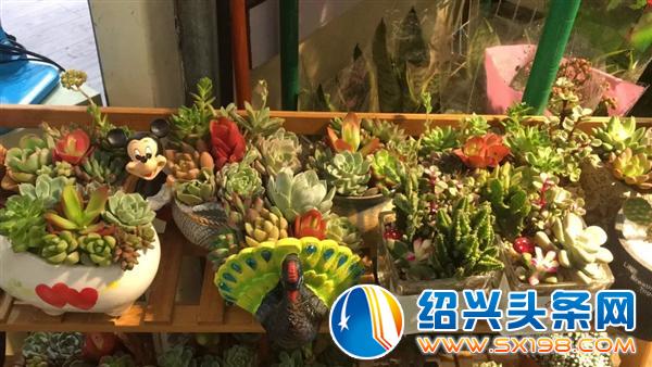 那我们来谈钱吧-12 那我们来谈钱吧-12