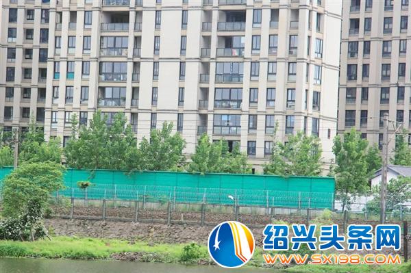金德隆到底是什么-1