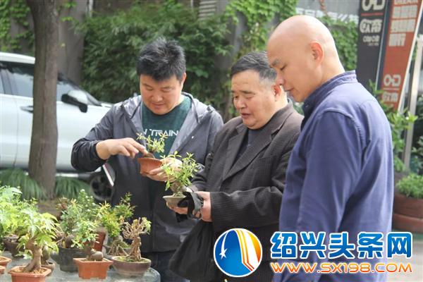 这些活的艺术正在走进千家万户-9 这些活的艺术正在走进千家万户-9