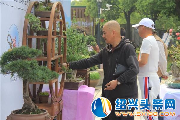 这些活的艺术正在走进千家万户-8 这些活的艺术正在走进千家万户-8