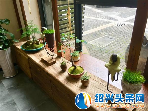 宏卉绿化创始人尹财武-7