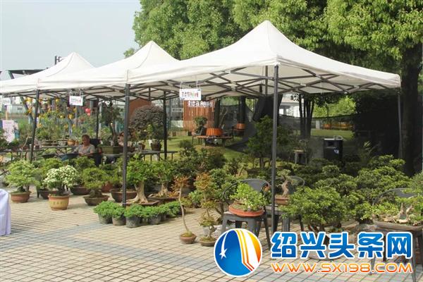 这些活的艺术正在走进千家万户-1 这些活的艺术正在走进千家万户-1
