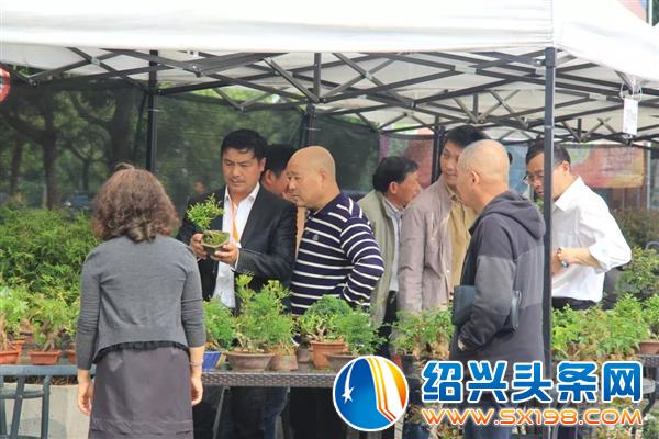 这些活的艺术正在走进千家万户-11 这些活的艺术正在走进千家万户-11