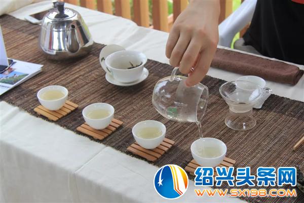 减什么肥-9 减什么肥-9