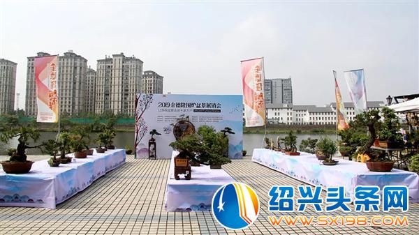 这些活的艺术正在走进千家万户 这些活的艺术正在走进千家万户