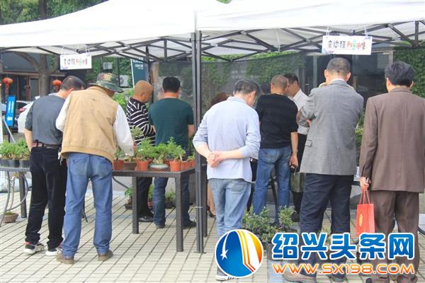 这些活的艺术正在走进千家万户-7 这些活的艺术正在走进千家万户-7