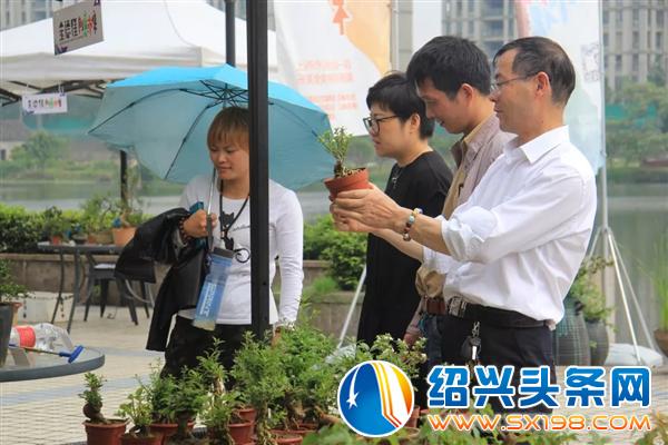这些活的艺术正在走进千家万户-10 这些活的艺术正在走进千家万户-10