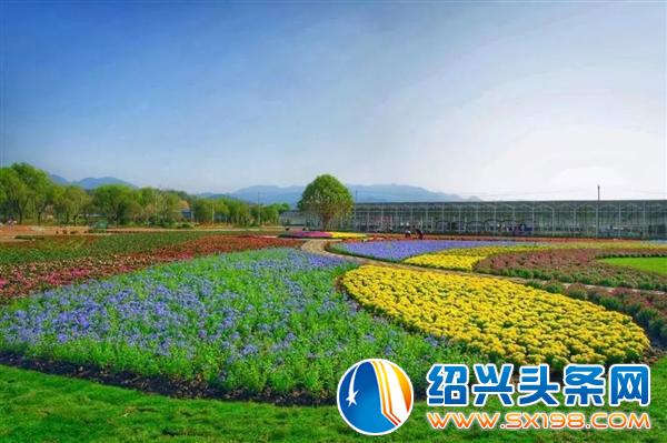 宏卉绿化创始人尹财武-1