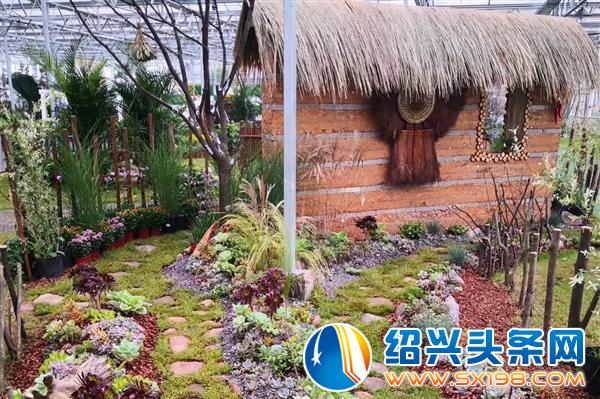 宏卉绿化创始人尹财武-10