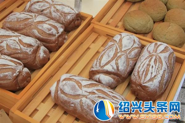 金德隆围炉盆景展-4