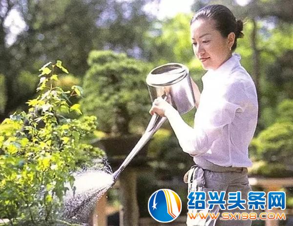盆景入门-11