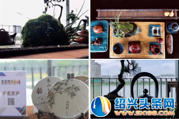金德隆围炉盆景展-6