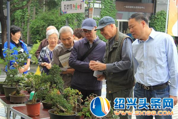 金德隆围炉盆景展